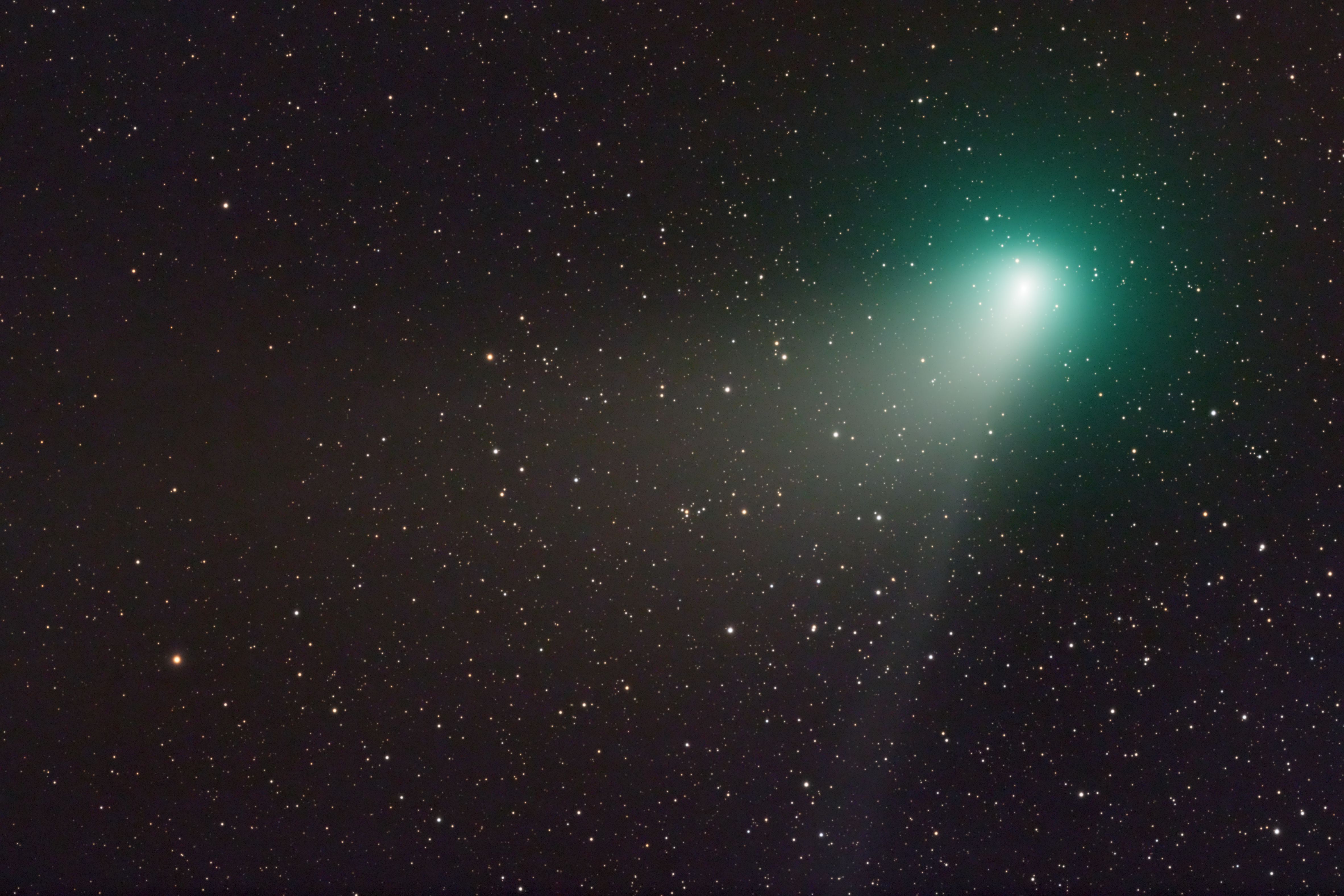 Komet C/2022 E3 ZTF am 09.02.2023 (Michael Rastetter)