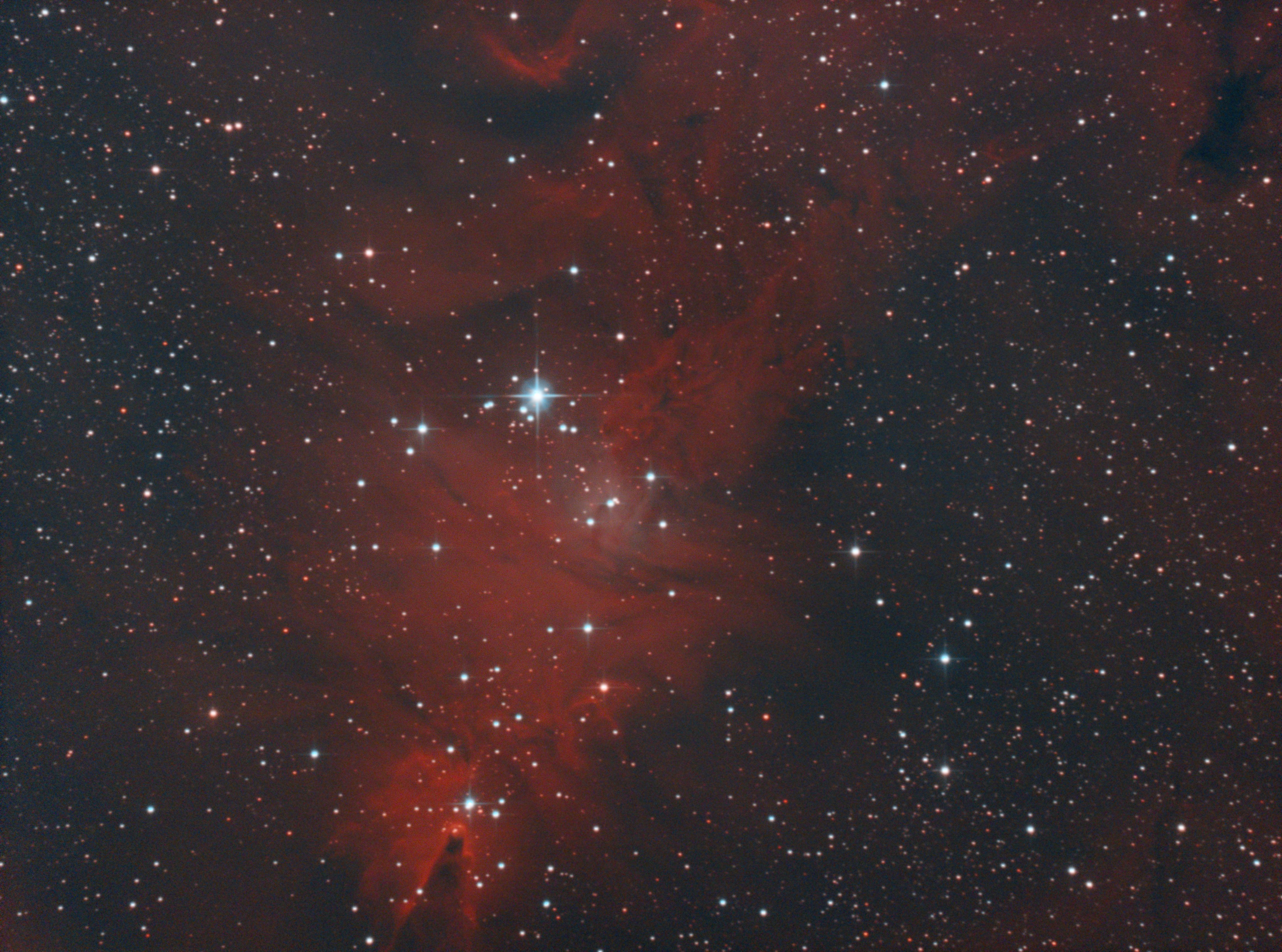 NGC 2264 mit Duo-Narrowband-Filter (Lukas Stubanus)